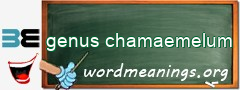 WordMeaning blackboard for genus chamaemelum